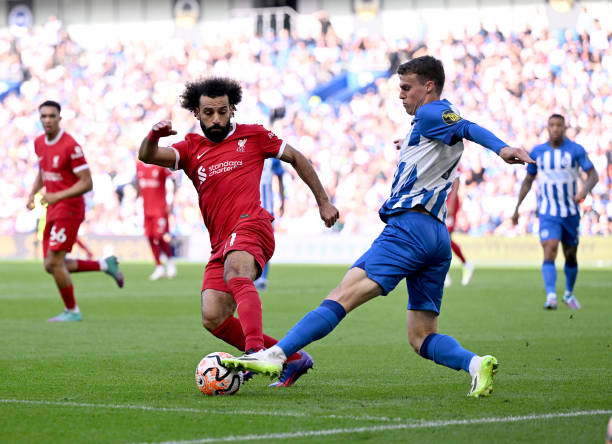 质得到了显 质得到了显